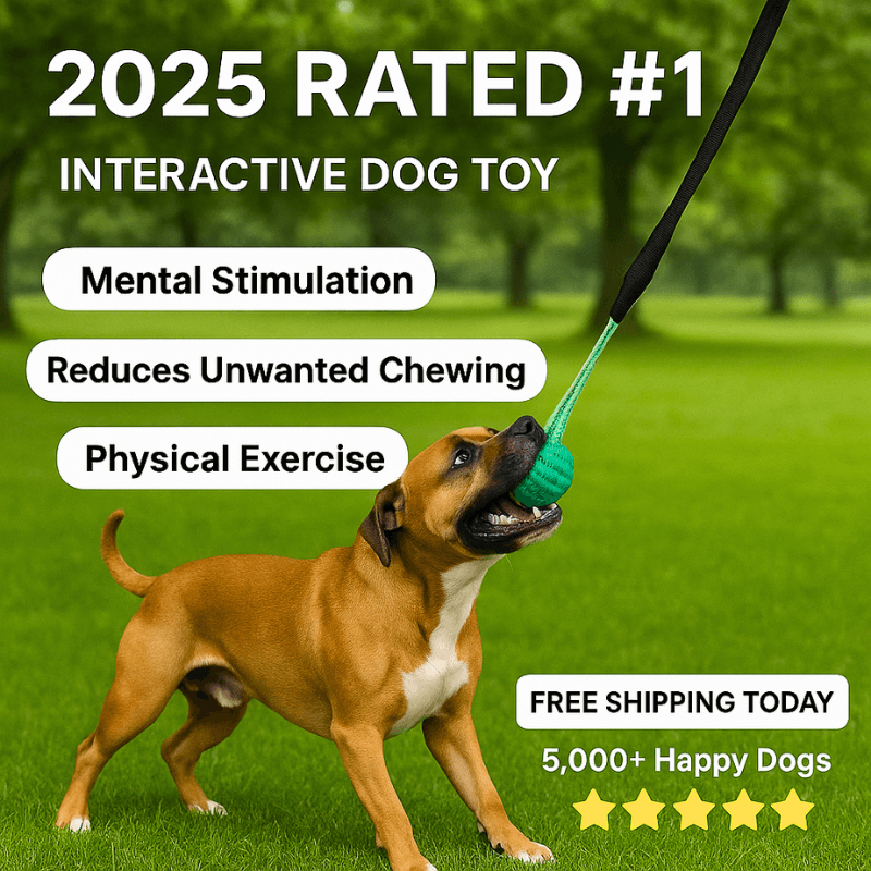 Lorvani™ Tug n' Play